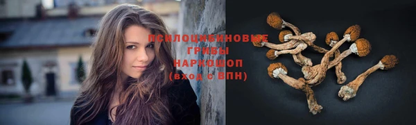 амфетамин Арсеньев