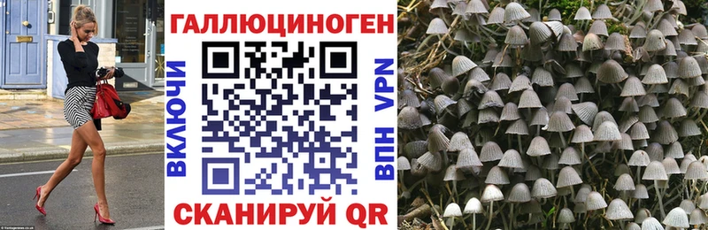 Галлюциногенные грибы Psilocybine cubensis  купить   Суровикино 