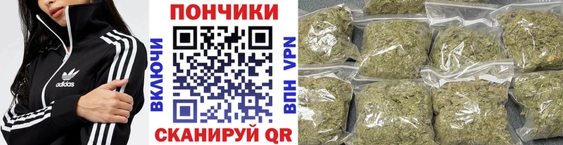 купить наркотики сайты  Суровикино  Конопля тримм 